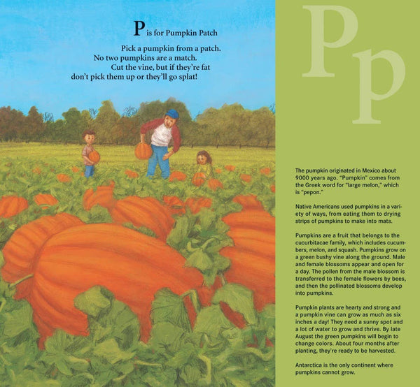 J is for Jack-O-Lantern: A Halloween picture book