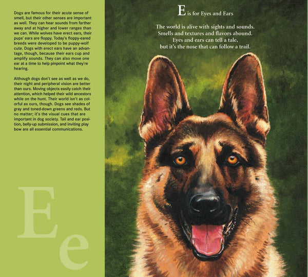 W is for Woof: A Dog picture book