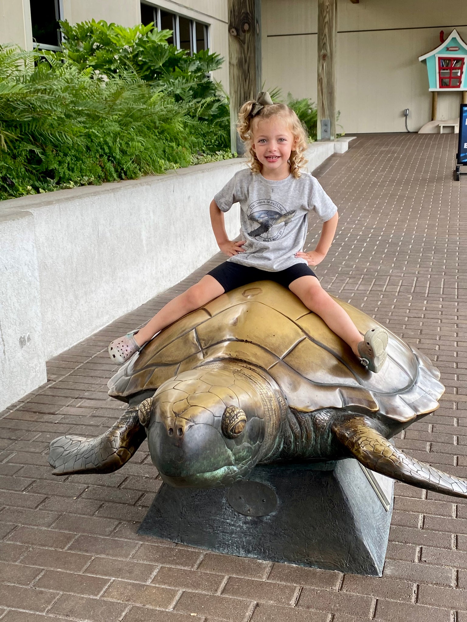 Sea Turtle “The Ocean is Calling” Shirt