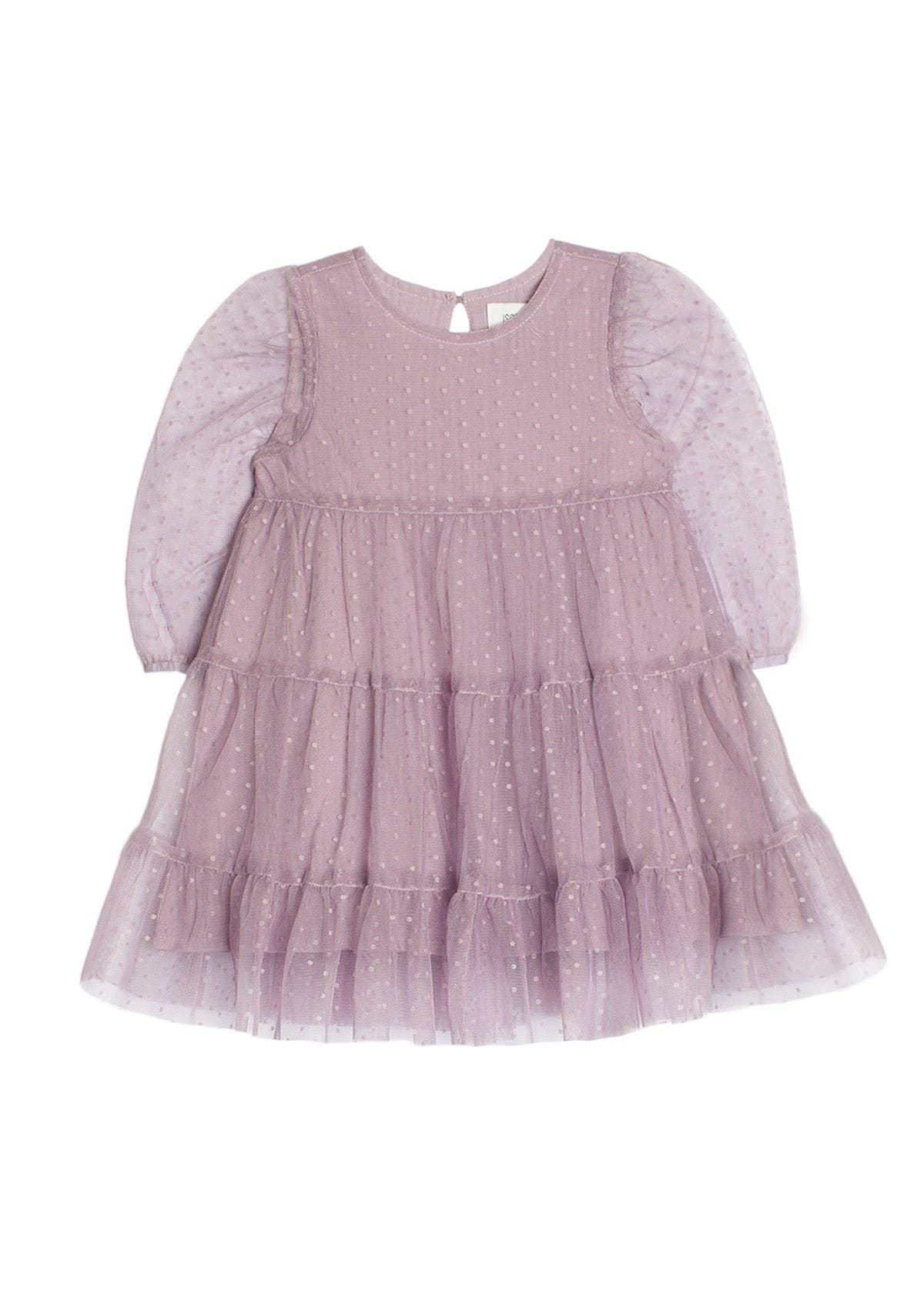 Sweetest Fairy Long Sleeve Swiss Dot Tulle Dress